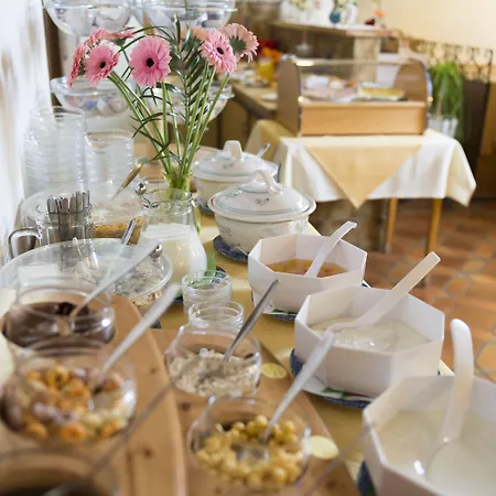 德莱索奈伯格酒店 酒店 纽舒瑙