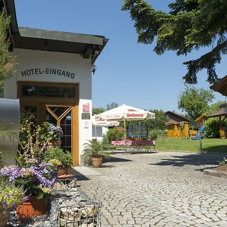 德莱索奈伯格酒店 3*