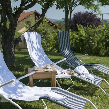 德莱索奈伯格酒店 3* 纽舒瑙