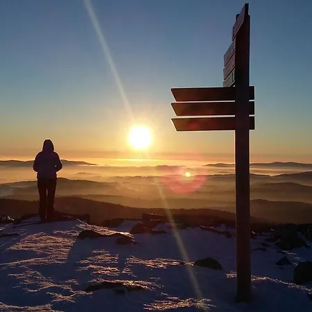 德莱索奈伯格酒店 3*