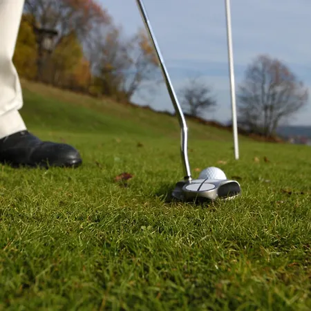 德莱索奈伯格酒店 酒店