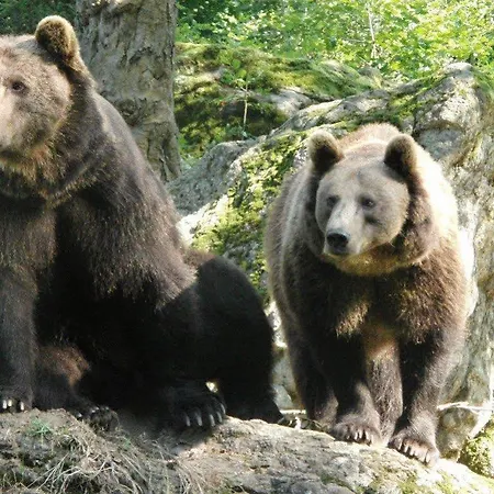 德莱索奈伯格酒店 酒店 3*