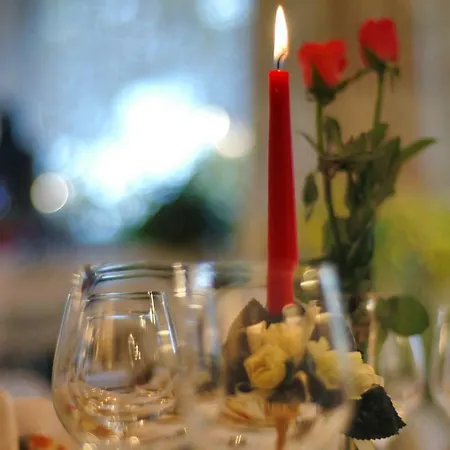 酒店 德莱索奈伯格酒店 纽舒瑙