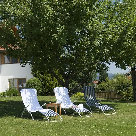 Hotel Dreisonnenberg Neuschönau