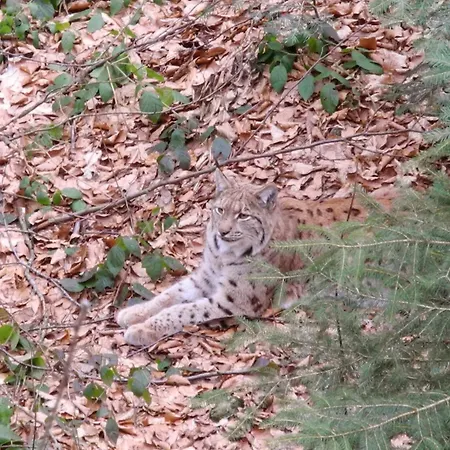 Dreisonnenberg Hotel