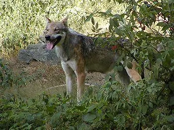 Dreisonnenberg Ξενοδοχείο 3*