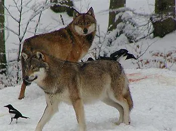 Dreisonnenberg Hotel